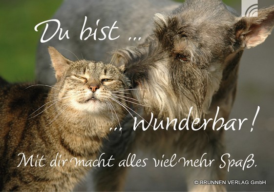 © BRUNNEN VERLAG GmbH blog