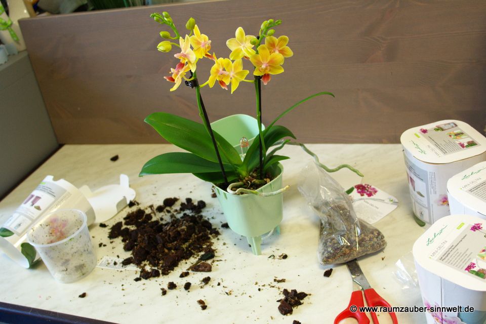 © www.raumzauber-sinnwelt.de