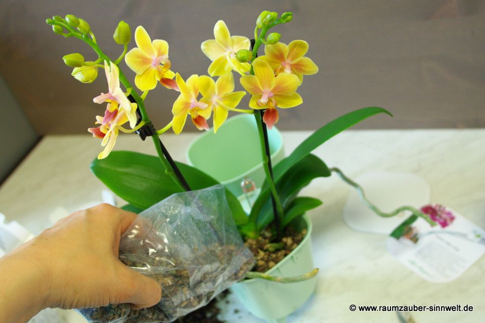 © www.raumzauber-sinnwelt.de