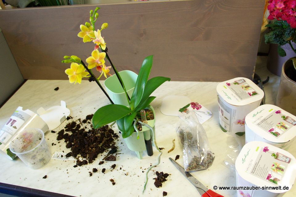 © www.raumzauber-sinnwelt.de