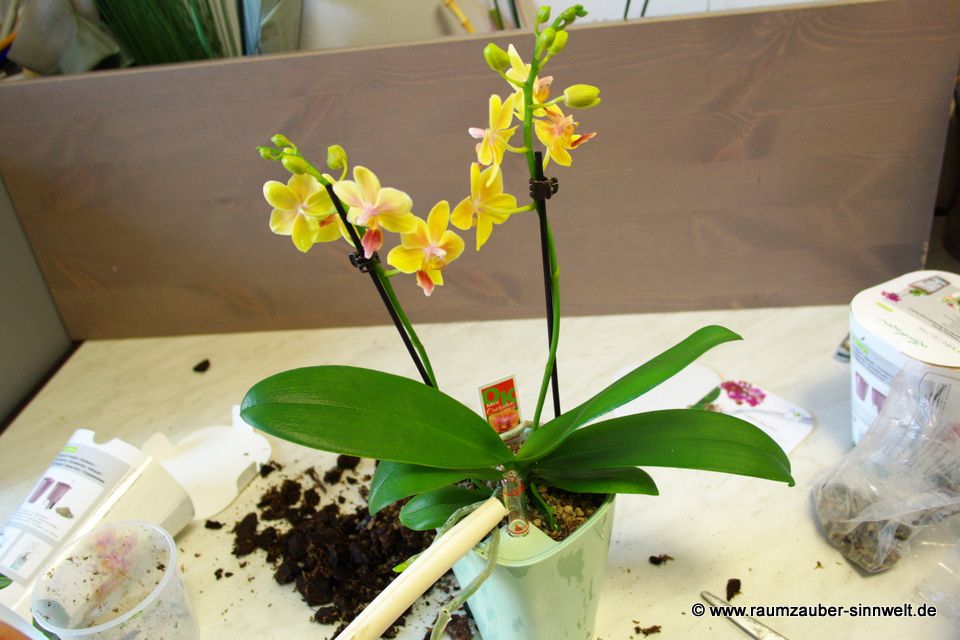 © www.raumzauber-sinnwelt.de