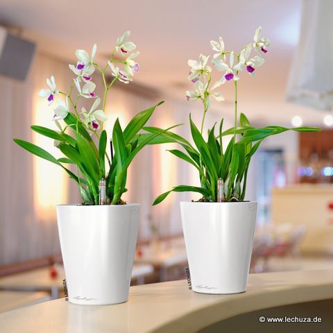 © www.raumzauber-sinnwelt.de blog