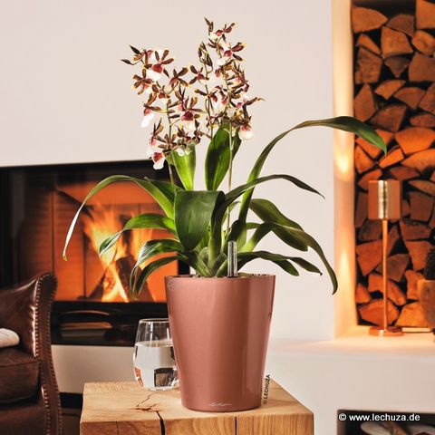 © www.raumzauber-sinnwelt.de blog