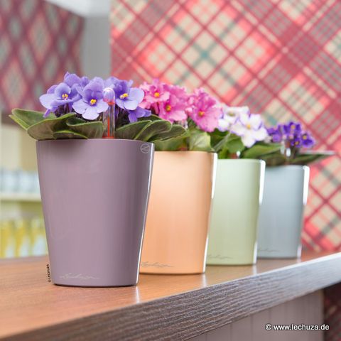 © www.raumzauber-sinnwelt.de blog