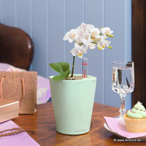 © www.raumzauber-sinnwelt.de blog