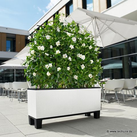 © www.raumzauber-sinnwelt.de blog