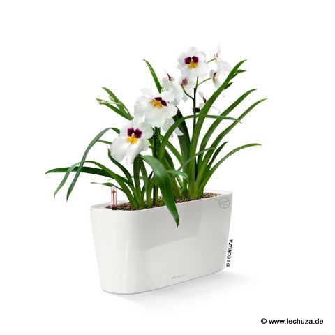 © www.raumzauber-sinnwelt.de blog