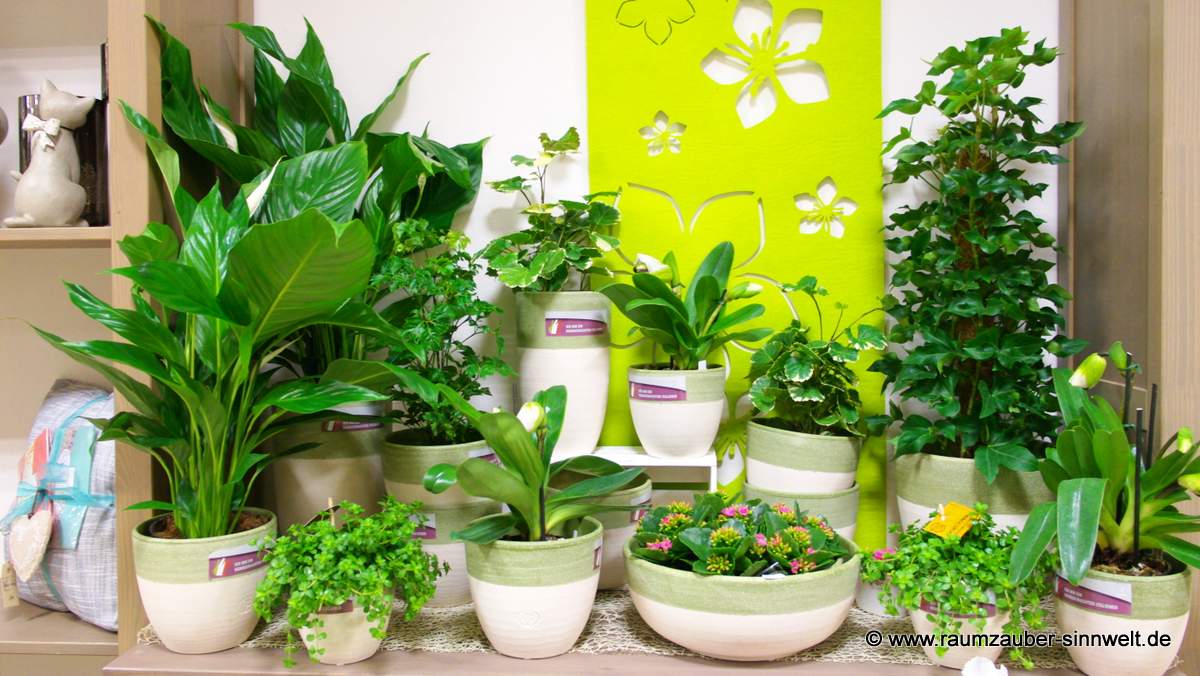 © www.raumzauber-sinnwelt.de blog