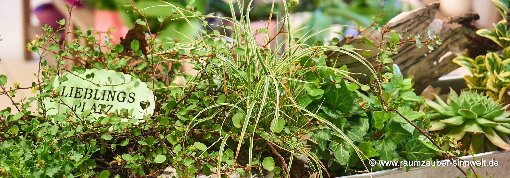 © www.raumzauber-sinnwelt.de menu