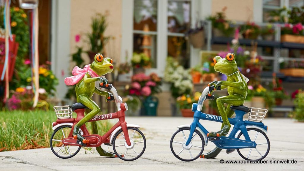 Föllig Ferrückte FroschFerien RaumzauberSinnwelt