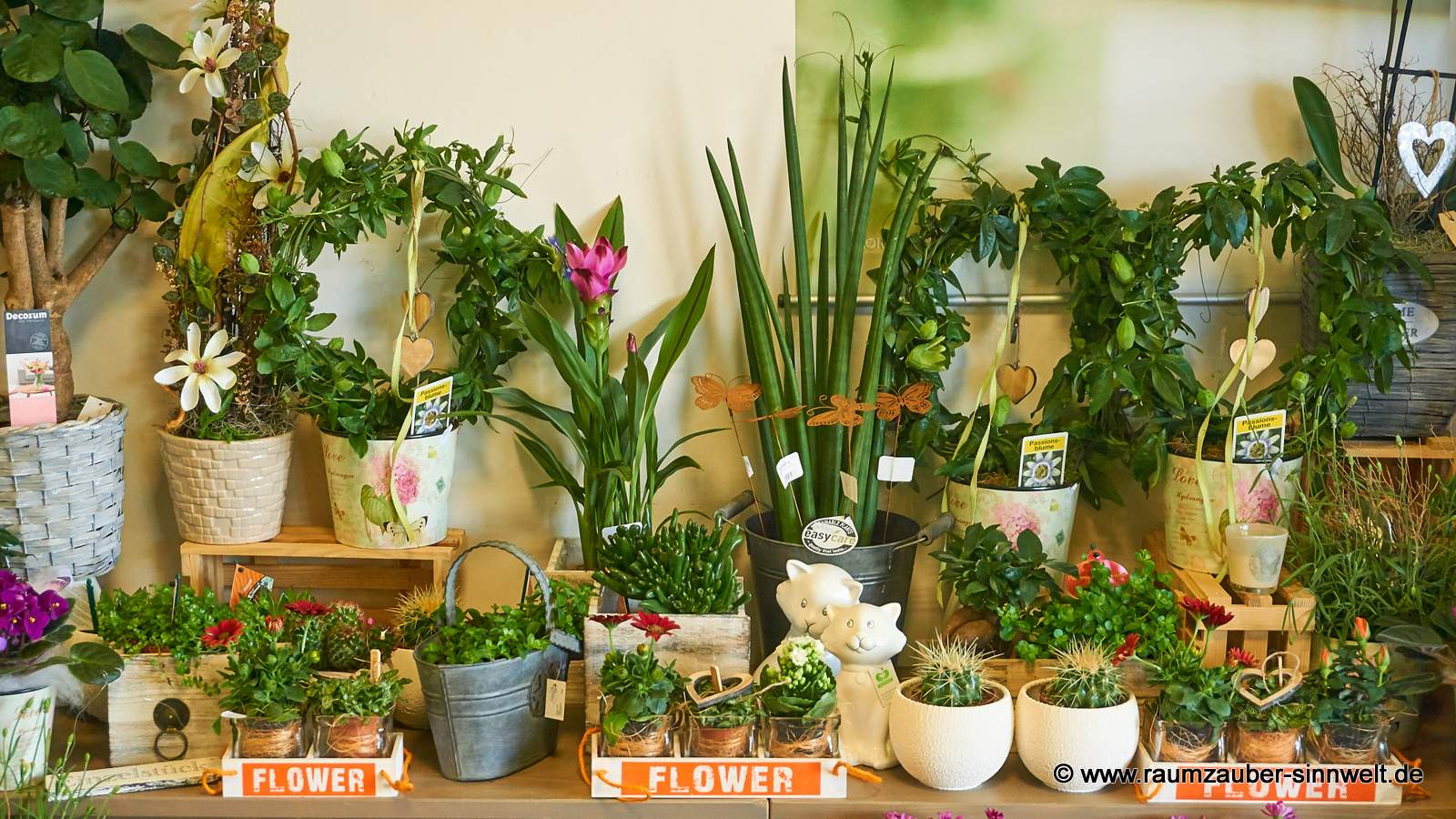 Pflanzen aus deutschen Gärtnereien und Pflanzgefäße von europäischen Produzenten.