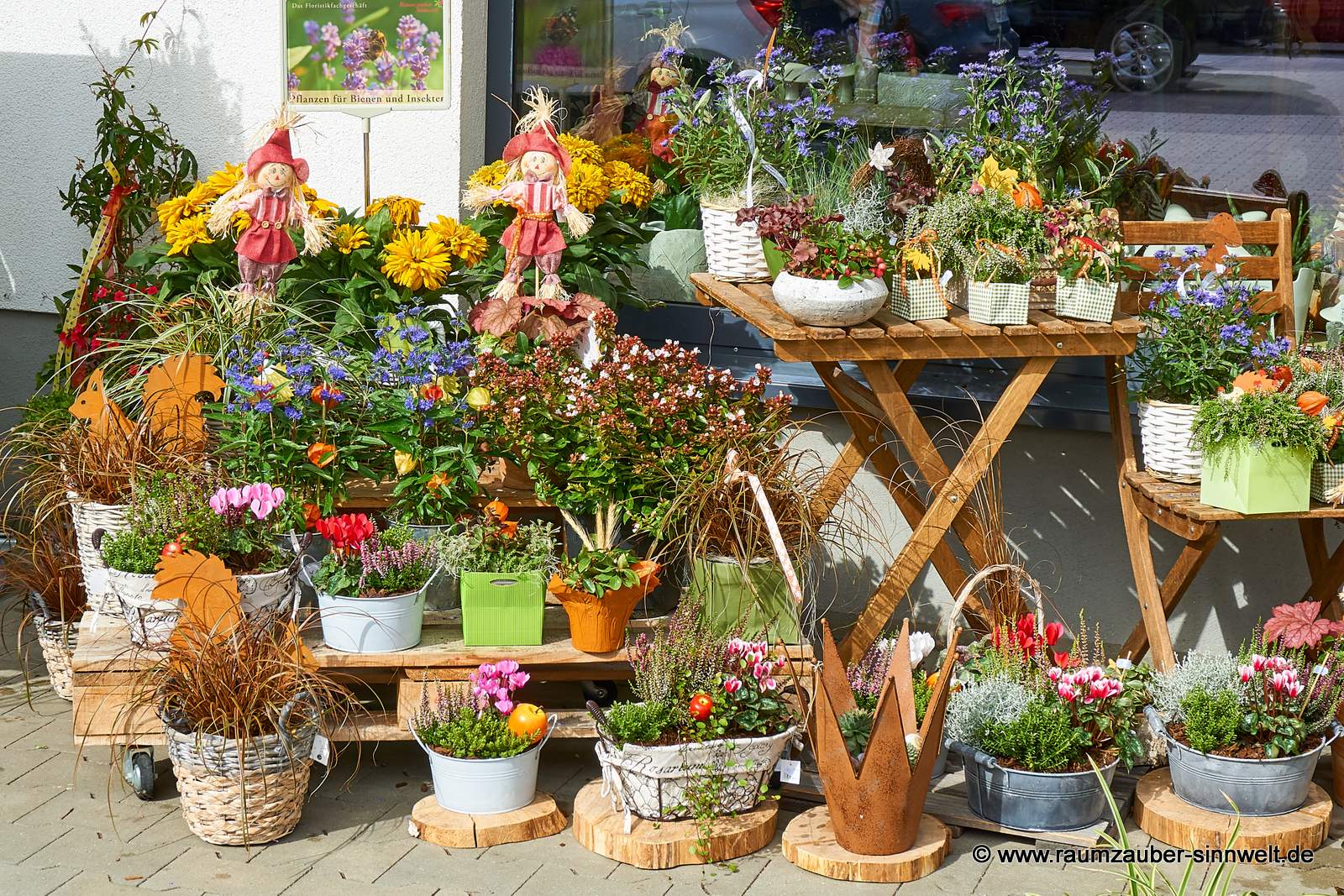 saisonale Einpflanzungen mit Pflanzen aus deutschen Gärtnereien
