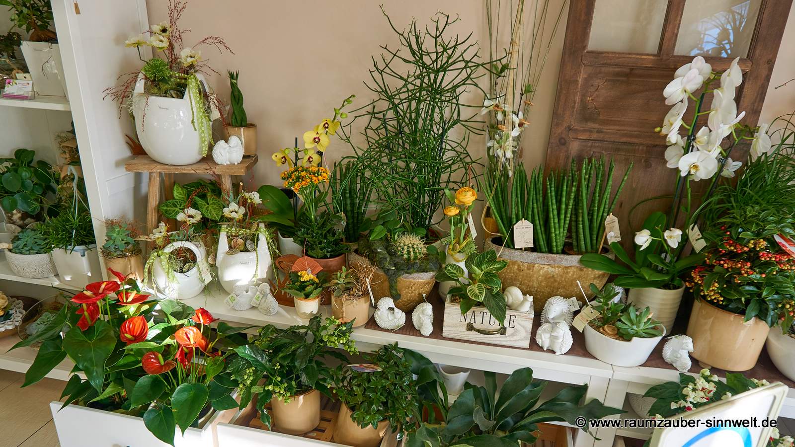 Pflanzen aus deutschen Gärtnereien und Pflanzgefäße von europäischen Produzenten.