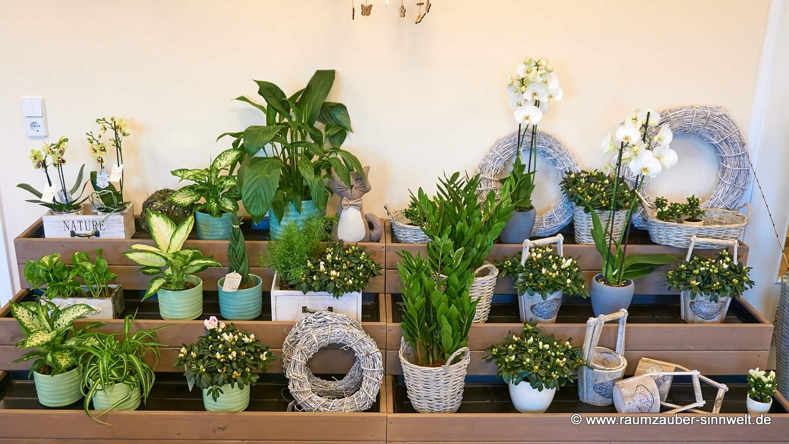 Pflanzen aus deutschen Gärtnereien und Pflanzgefäße von europäischen Produzenten.