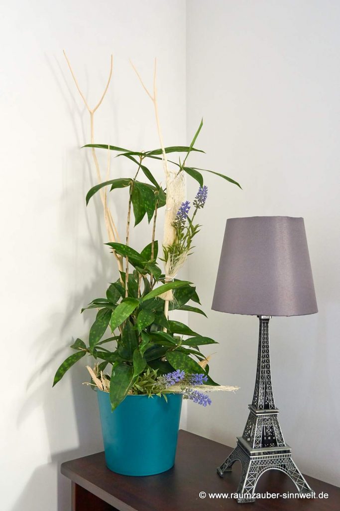 Dekorierte Dracaena im Keramiktopf