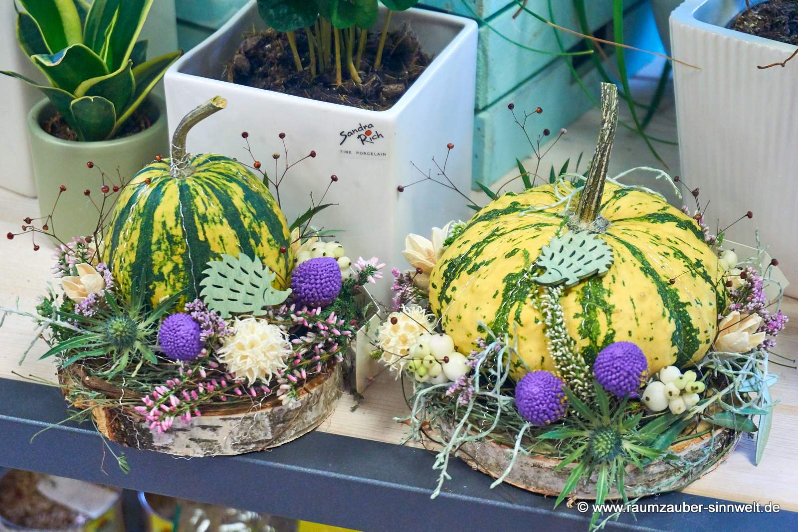 Herbstdekorationen mit Kürbissen auf Baumscheiben.