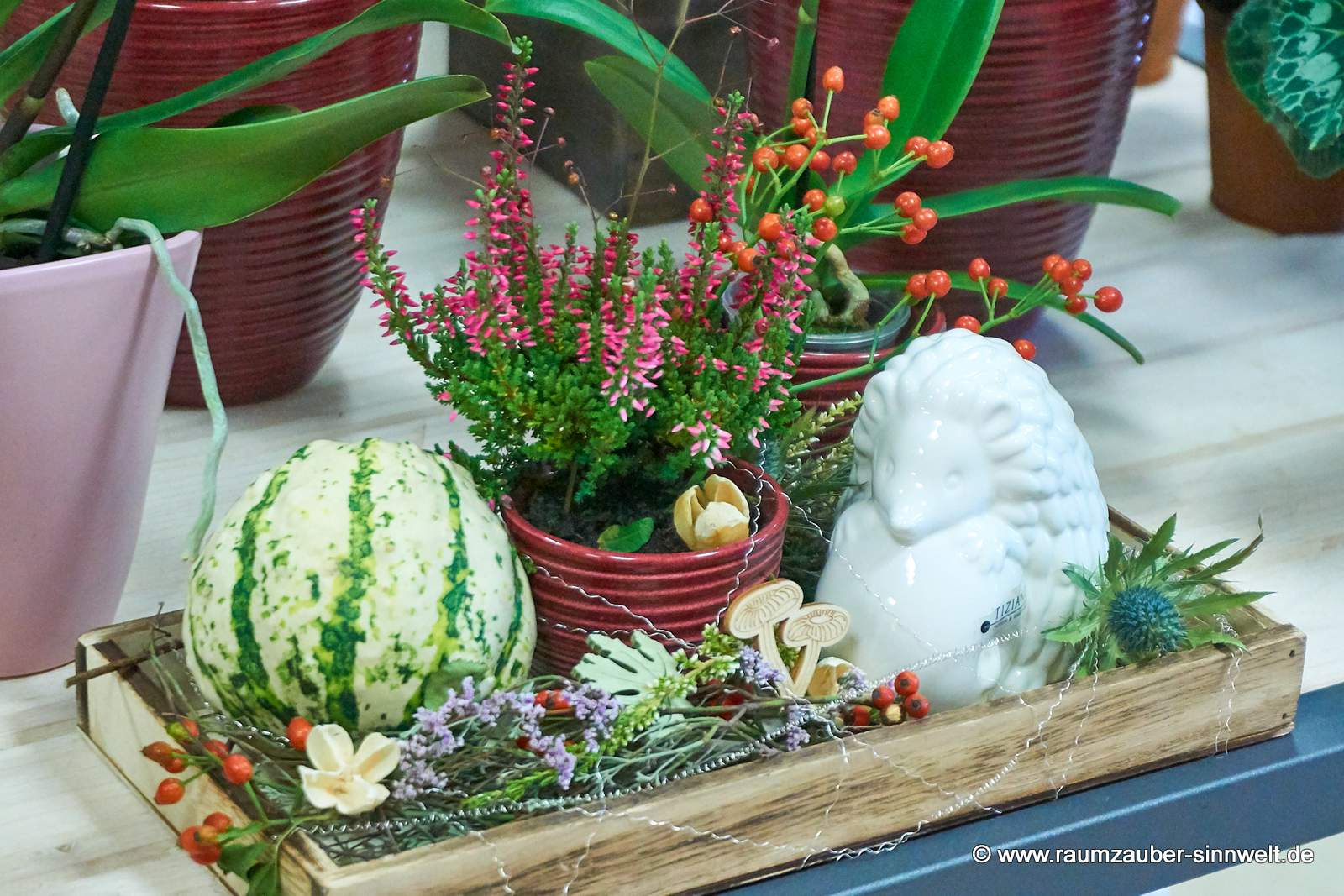 Miniheide, Kürbis und Deko-Igel Max von TIZIANO dekoriert auf Holztablett