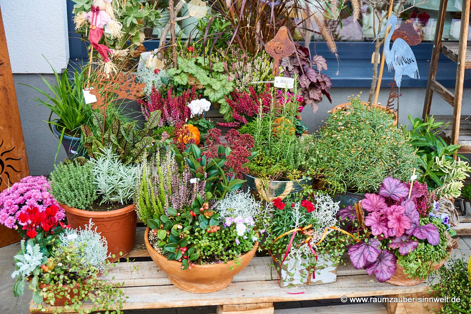 Herbsteinpflanzungen in verschiedenen Gefäßen