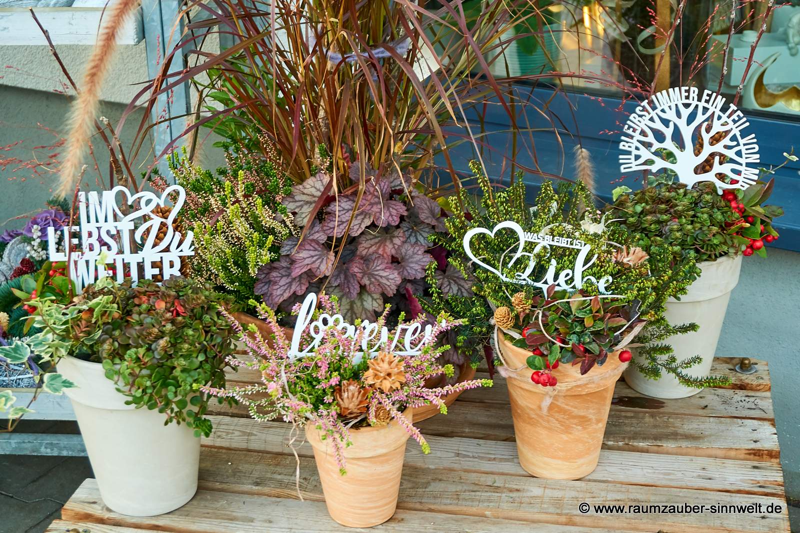 Auswahl an Gedenkschalen mit verschiedenen Herbstpflanzen und Grabstecker "Seelentröster".