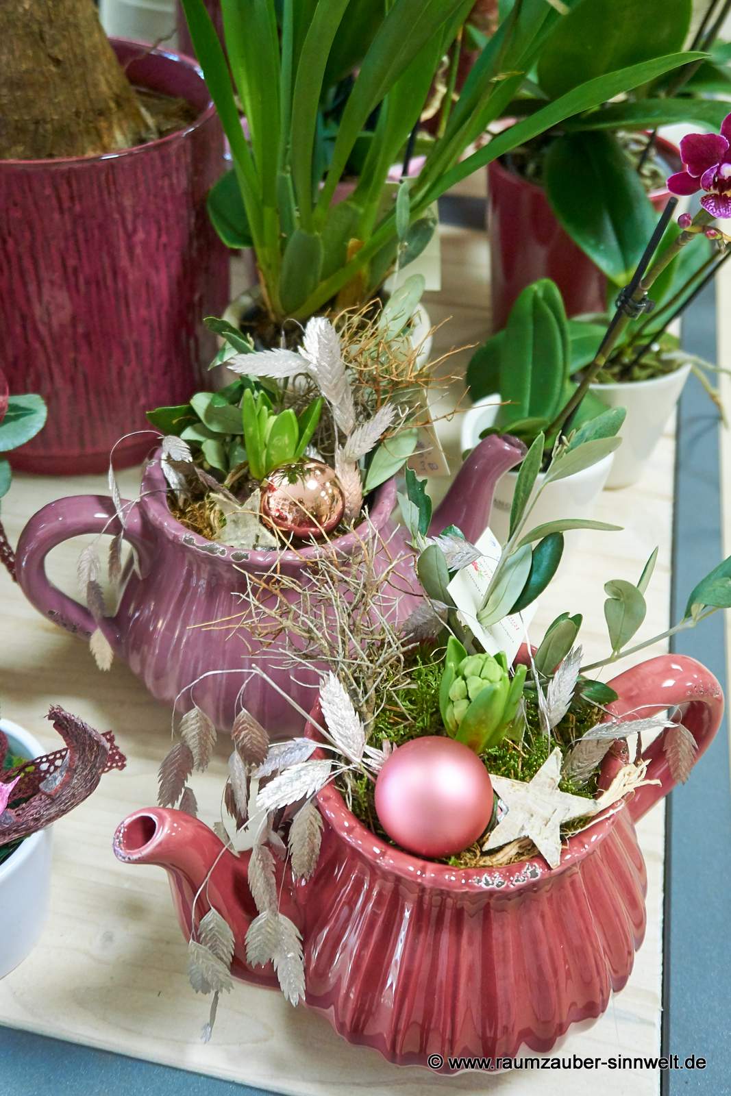 Hyazinthen in Keramikkanne weihnachtlich dekoriert