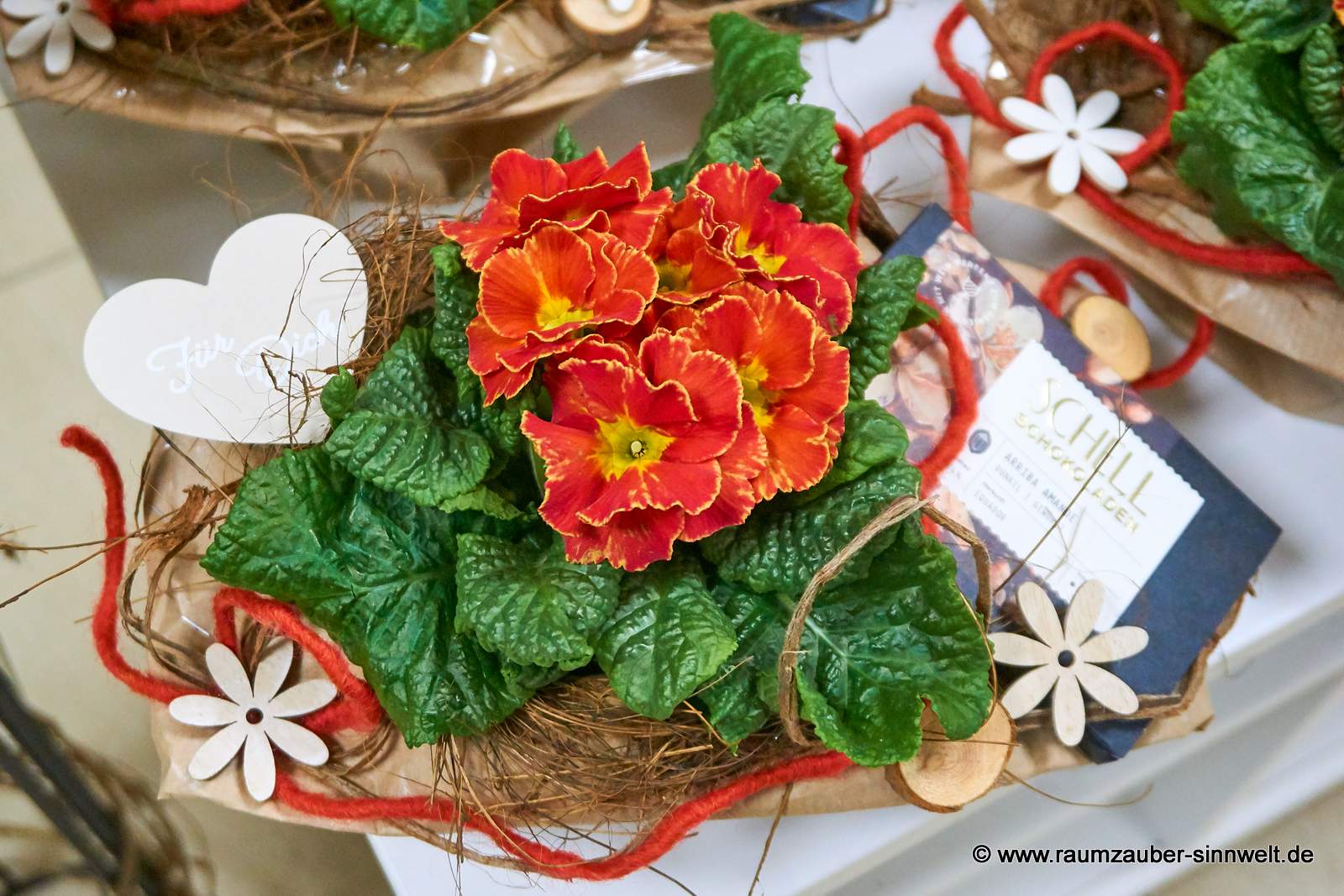 Als Präsent dekorierte Primel mit Holzherz und Schell