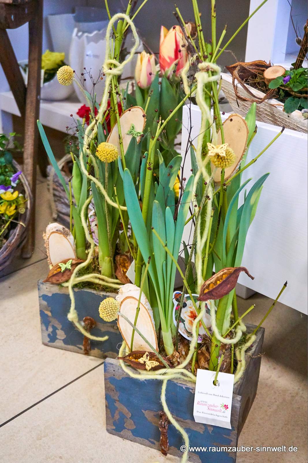 Frühblüher in Holzschublade dekoriert.