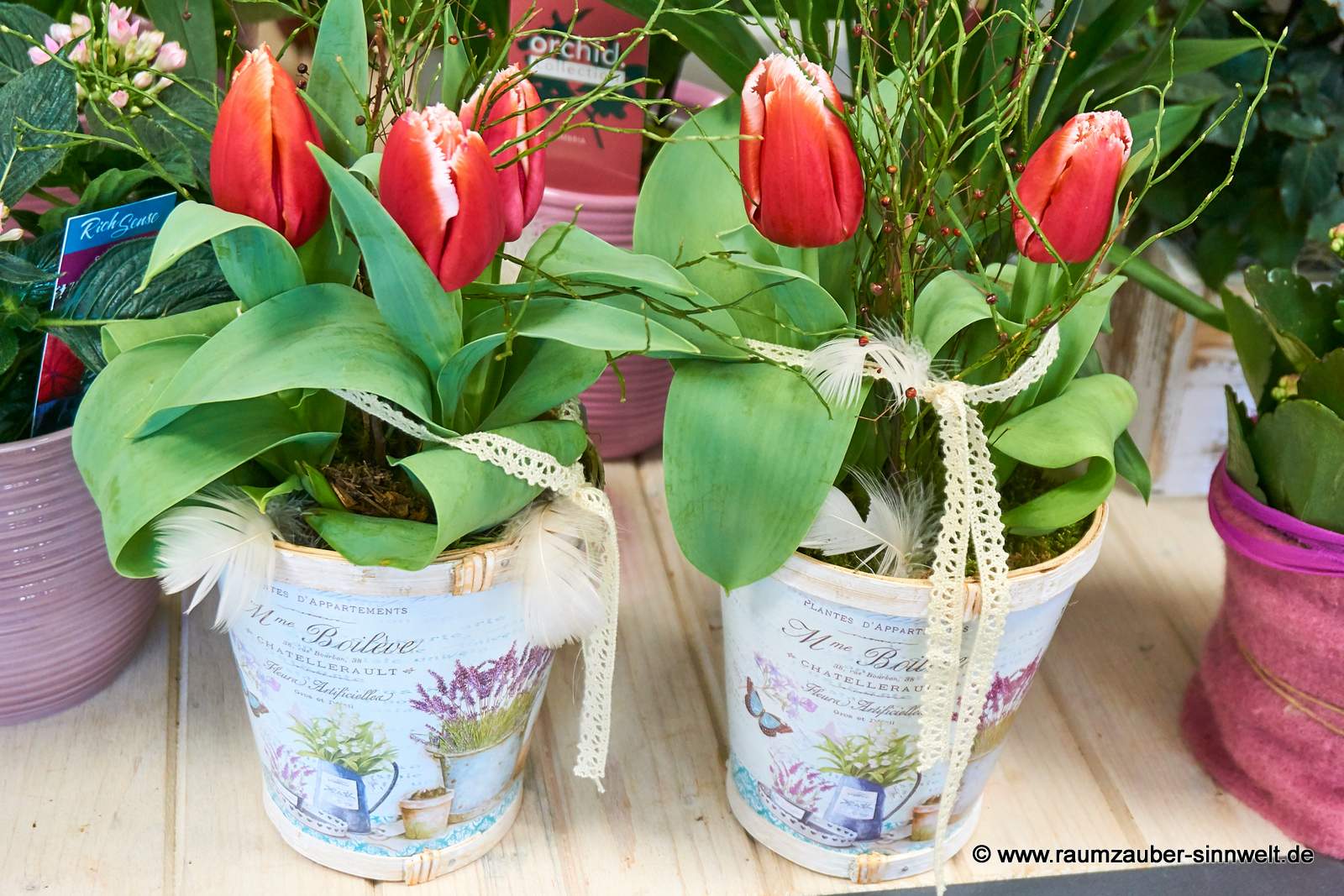 Tulpen im Holzgefäß dekoriert.