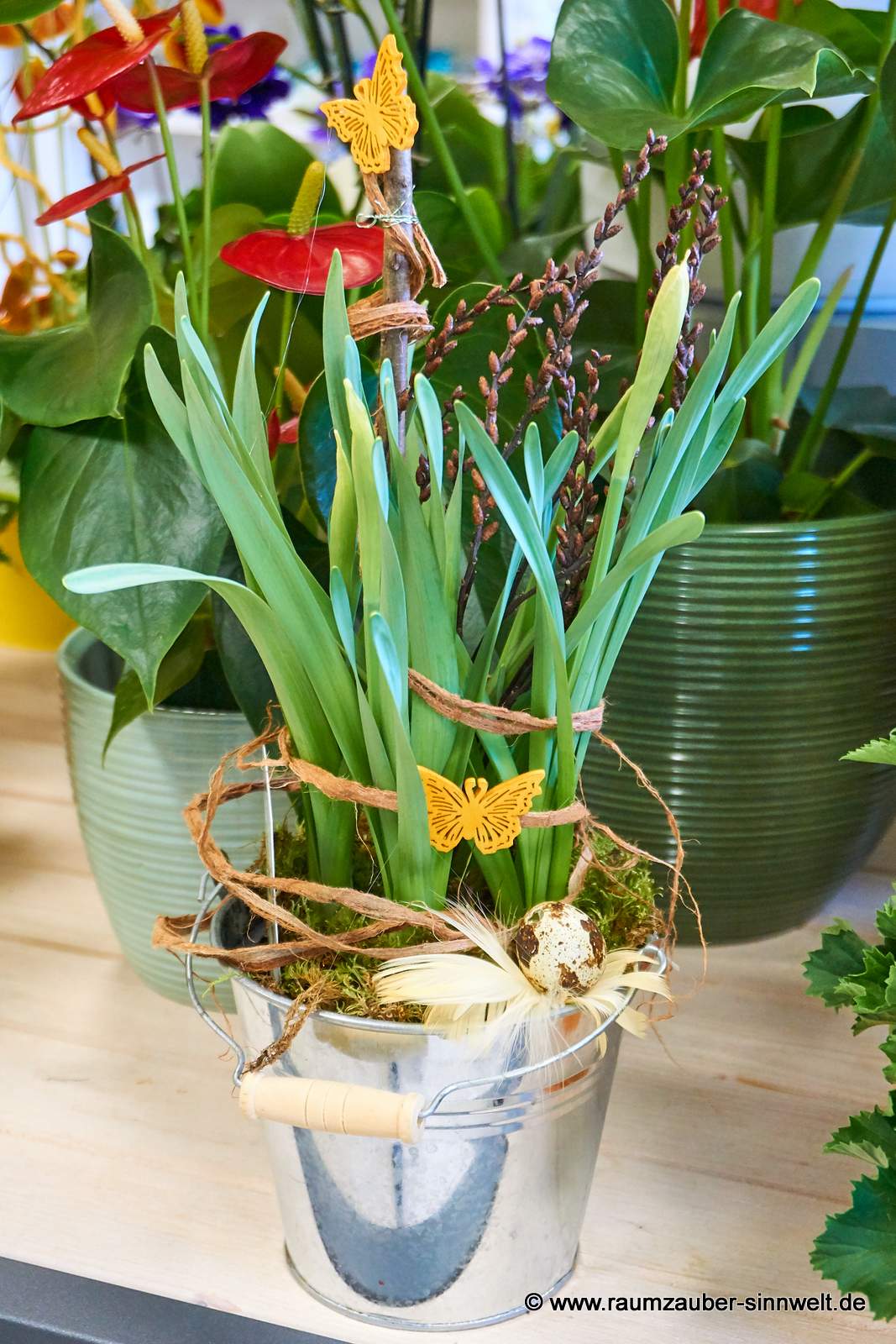 Narzissen im Blechgefäß österlich dekoriert