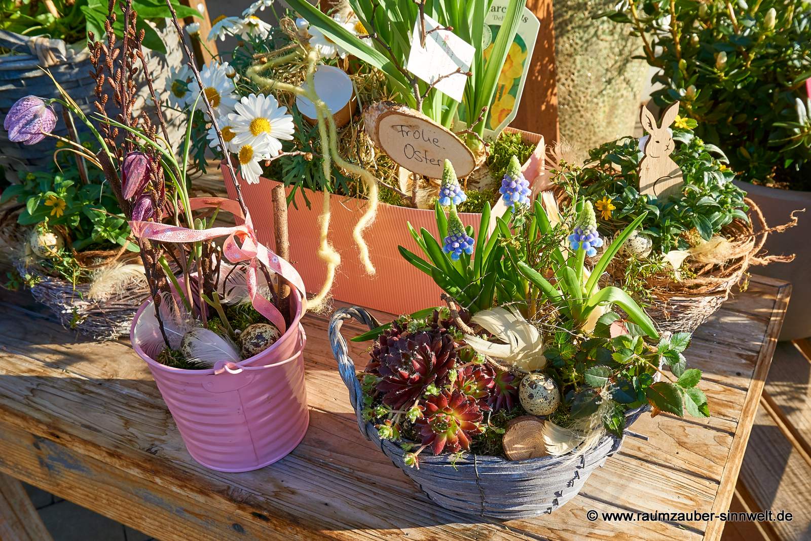 Einpflanzungen mit Muscari, Sedum, Margariten und Fritillaria.