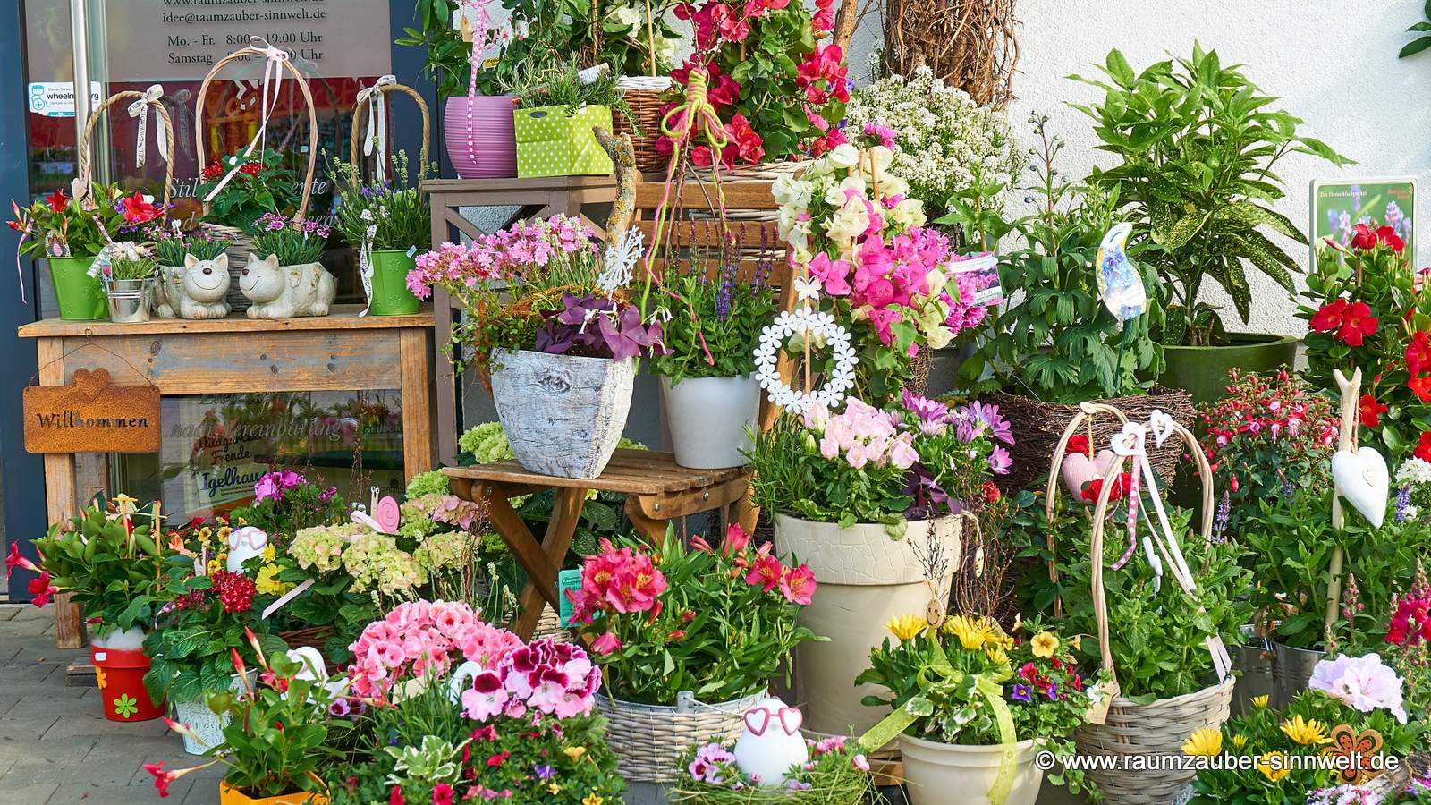 saisonale Einpflanzungen mit Pflanzen aus deutschen Gärtnereien