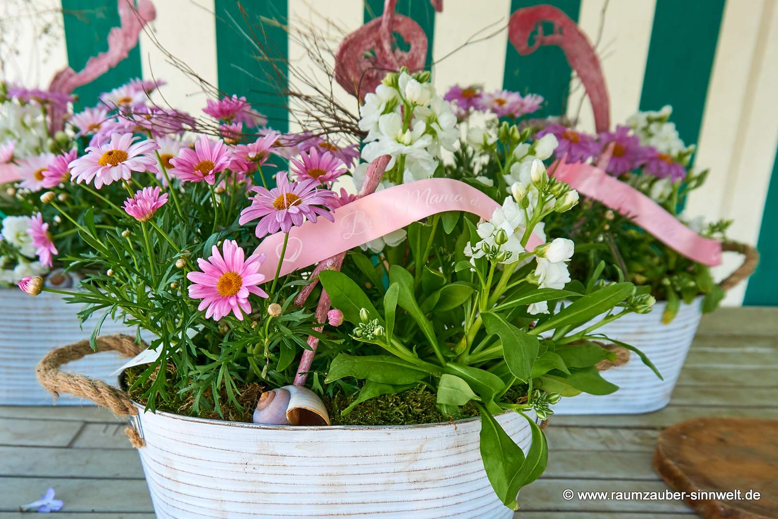 Dekorierte Einpflanzungen aus Margariten und Levkoje im Blechgefäß mit Spruchband
