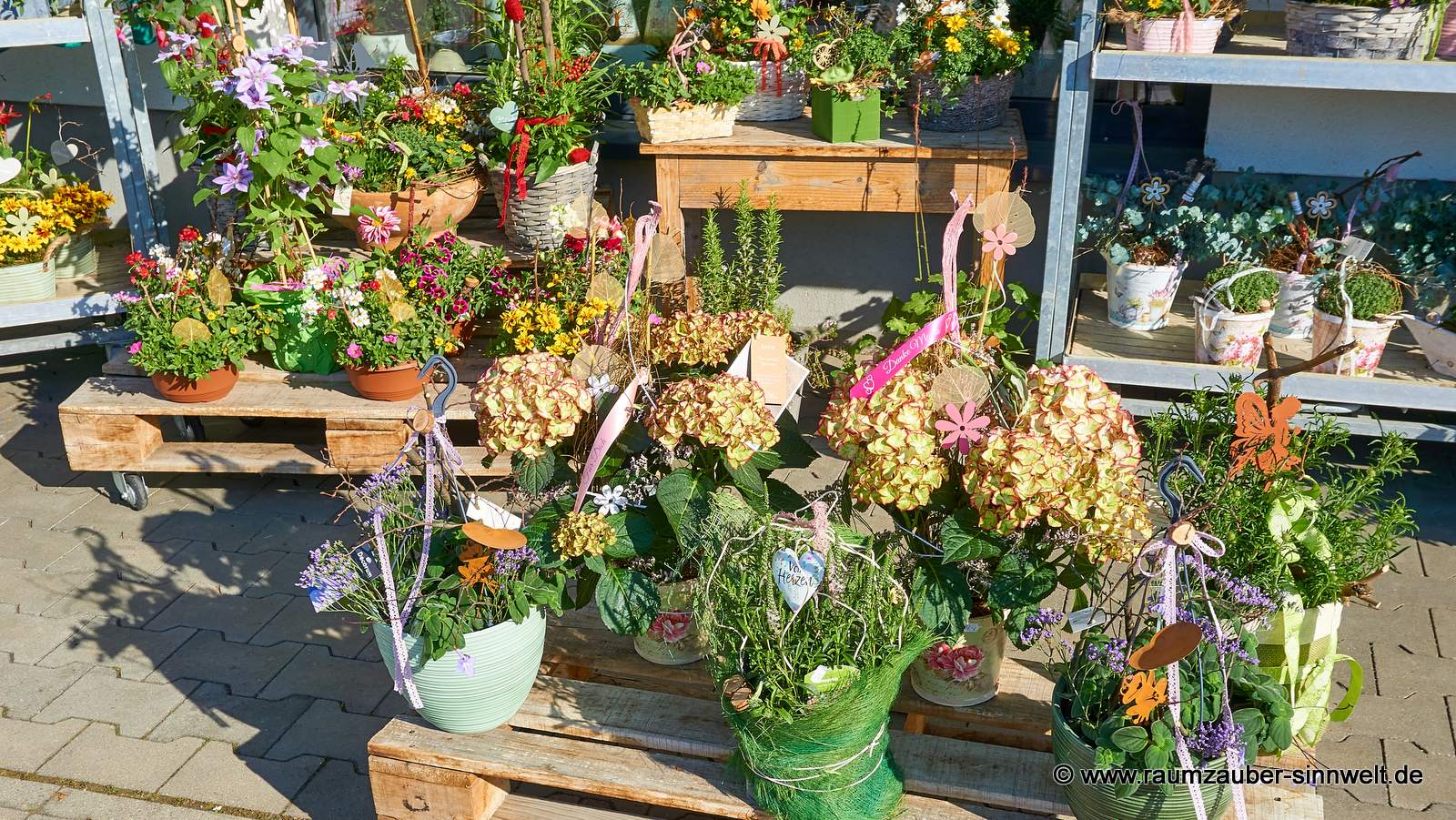 saisonale Einpflanzungen mit Pflanzen aus deutschen Gärtnereien
