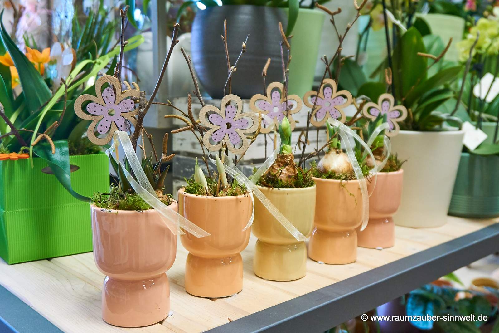 Frühblüher in Keramiktöpfchen mit Holzstecker dekoriert.