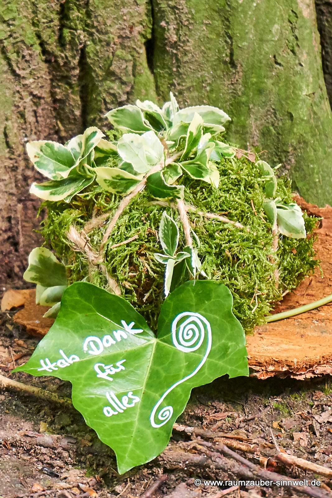 Mooskugel für den Friedwald auf Rinde mit beschriebenem Blatt.