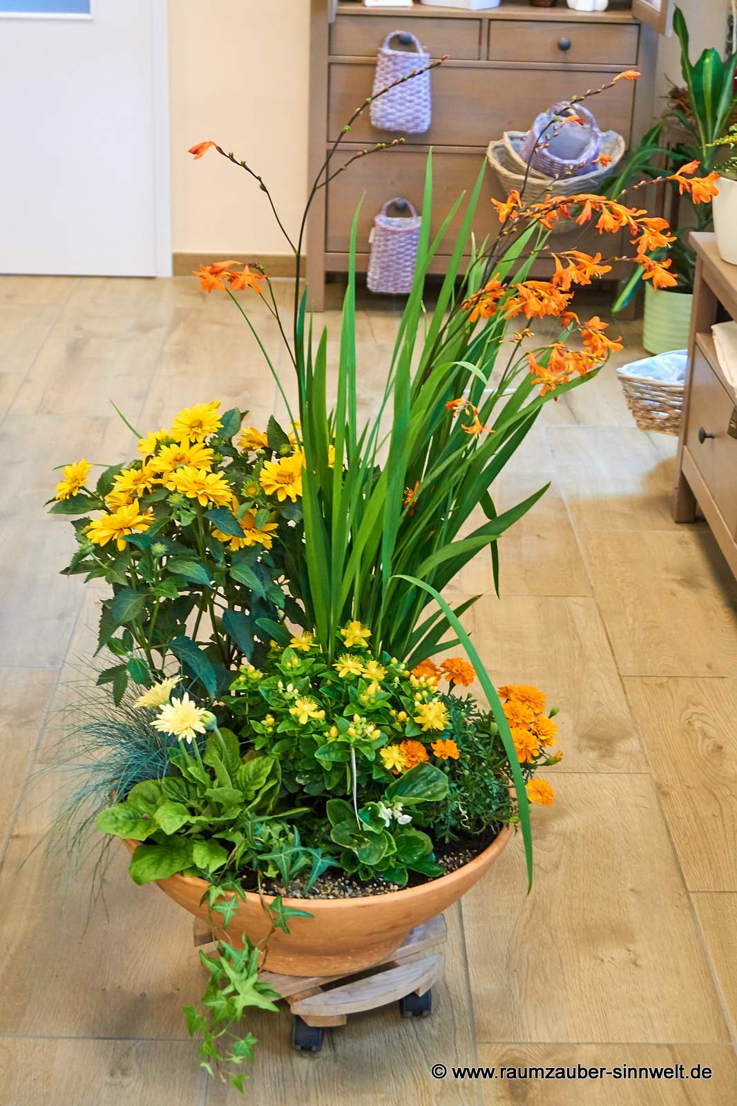 Einpflanzung mit Montbretien, Sonnenhut, Studentenblumen, Hypericum, Gerbera und Efeu