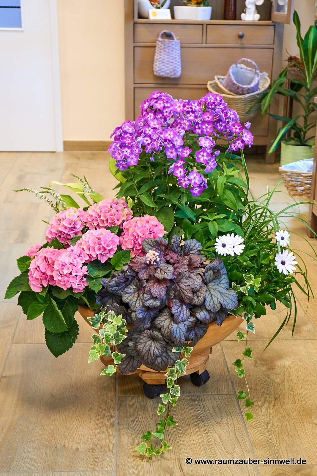 Einpflanzung mit Phlox, Hortensie, Kapkörbchen, Purpurglöckchen, Gräsern und Efeu