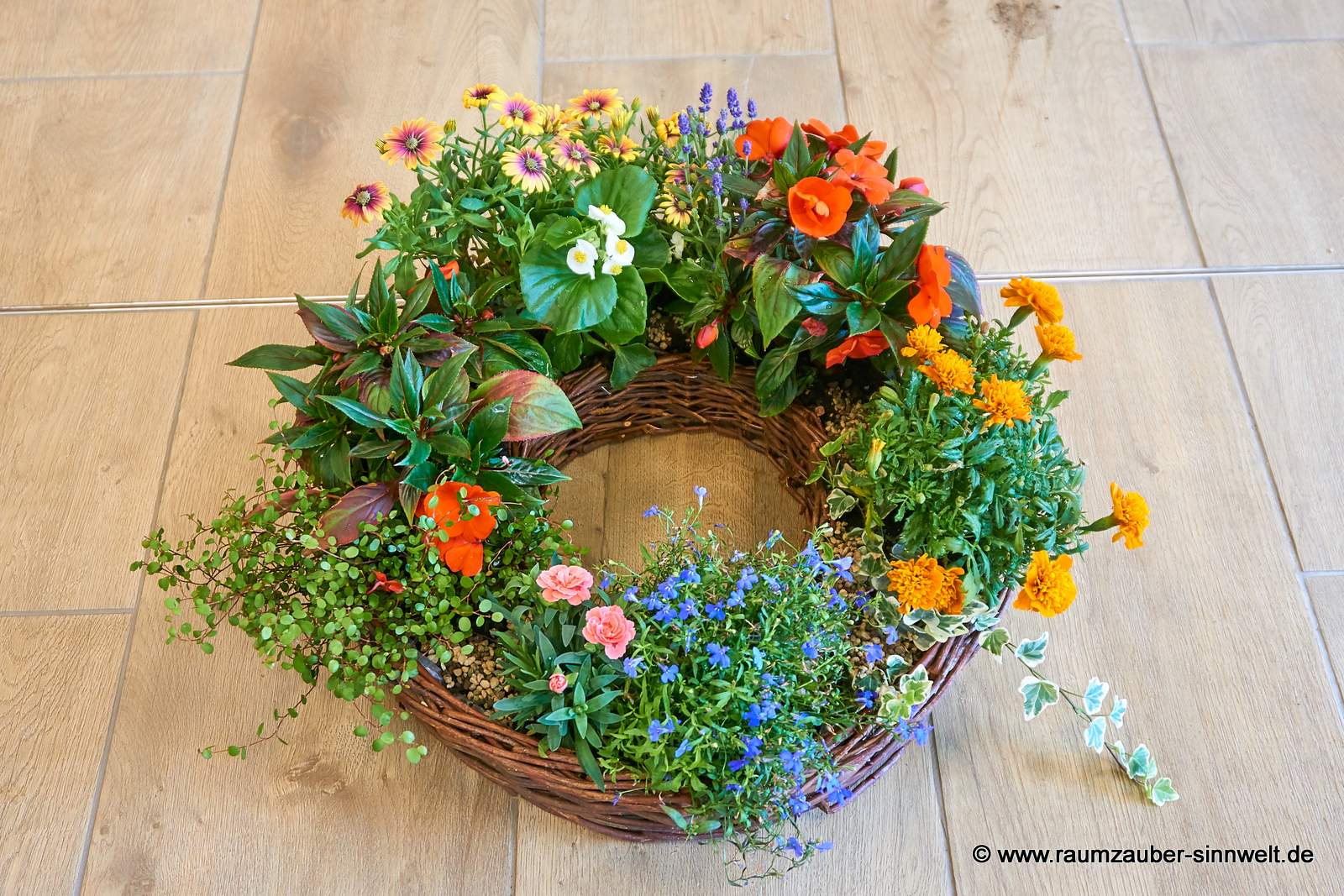 Pflanzkranz mit Kapbörbchen, Nelken, Lieschen, Studentenblumen, Männertreu, Lavendel und Efeu