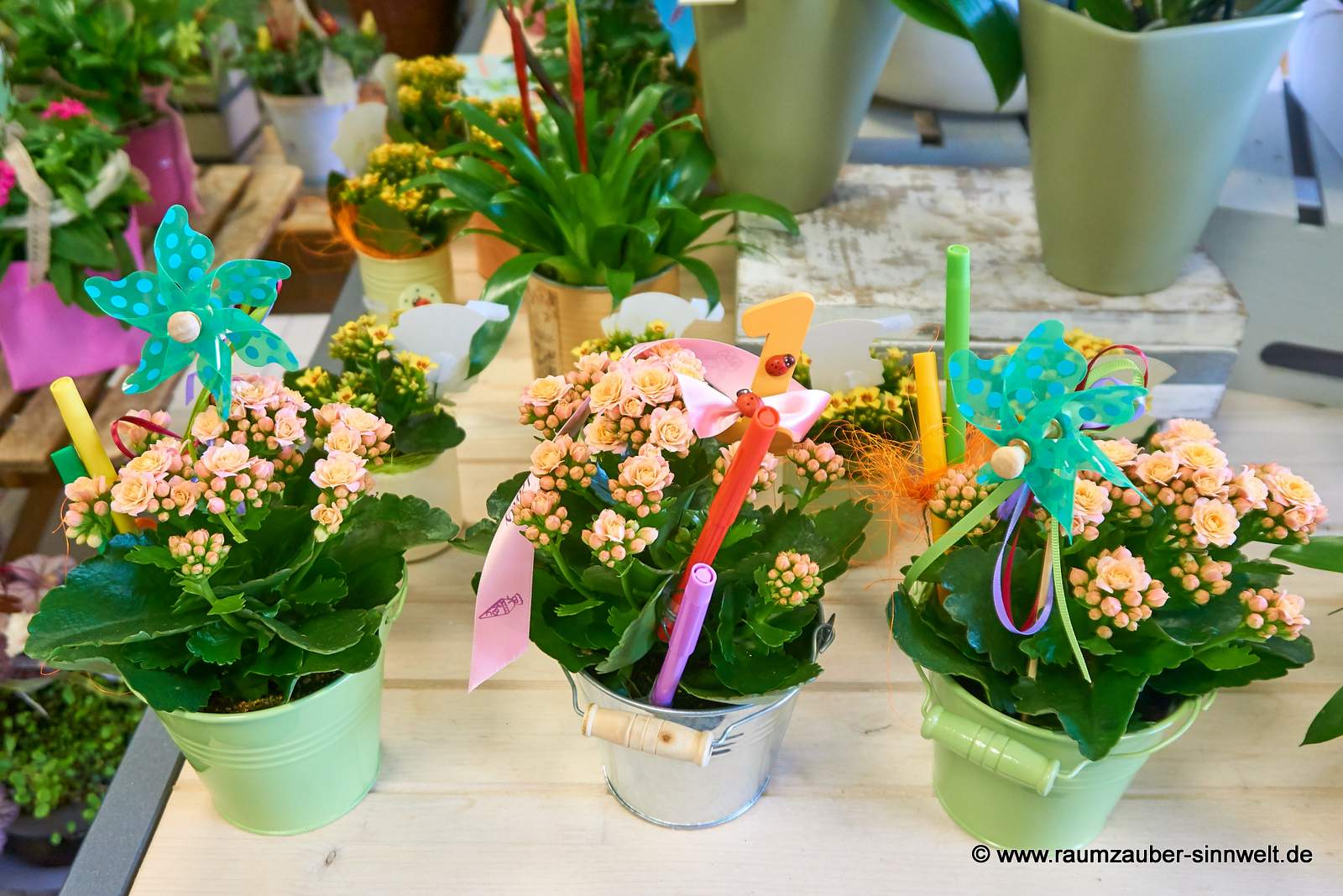 Kalanchoe im Blecheimer mit Steckern und Stiften zum Schulanfang
