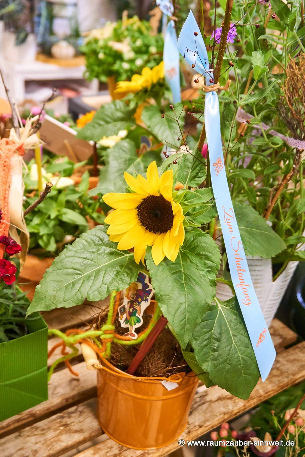 Sonnenblume im Blecheimer mit Spruchband zum Schulanfang